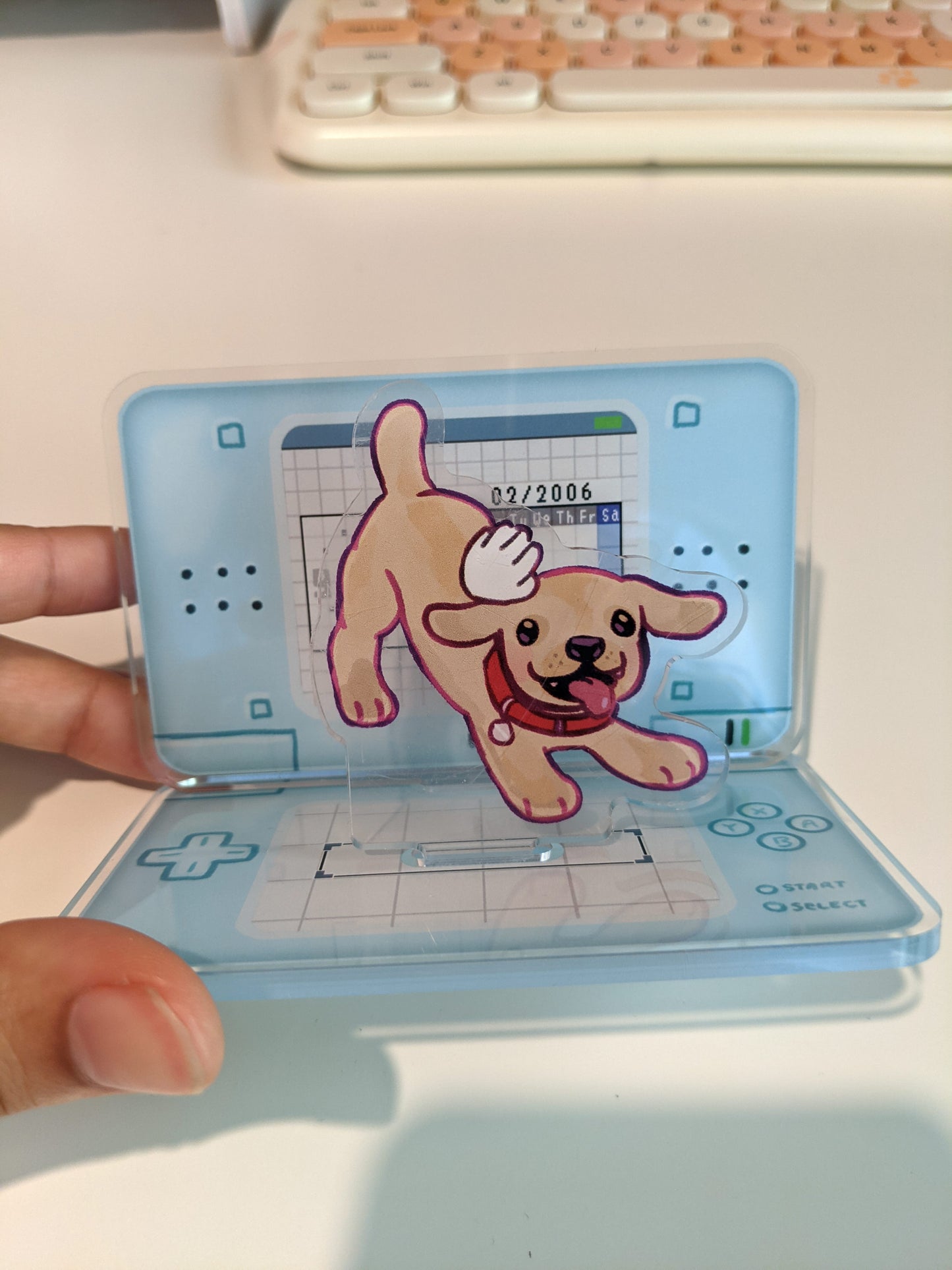 DS Lite Acrylic Standee